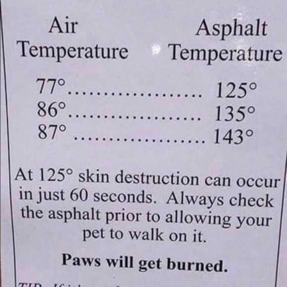 Please don't leave animals and hot cars - Picture 5 of 8